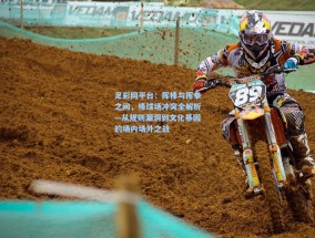 足彩网平台：挥棒与挥拳之间，棒球场冲突全解析—从规则漏洞到文化基因的场内场外之战