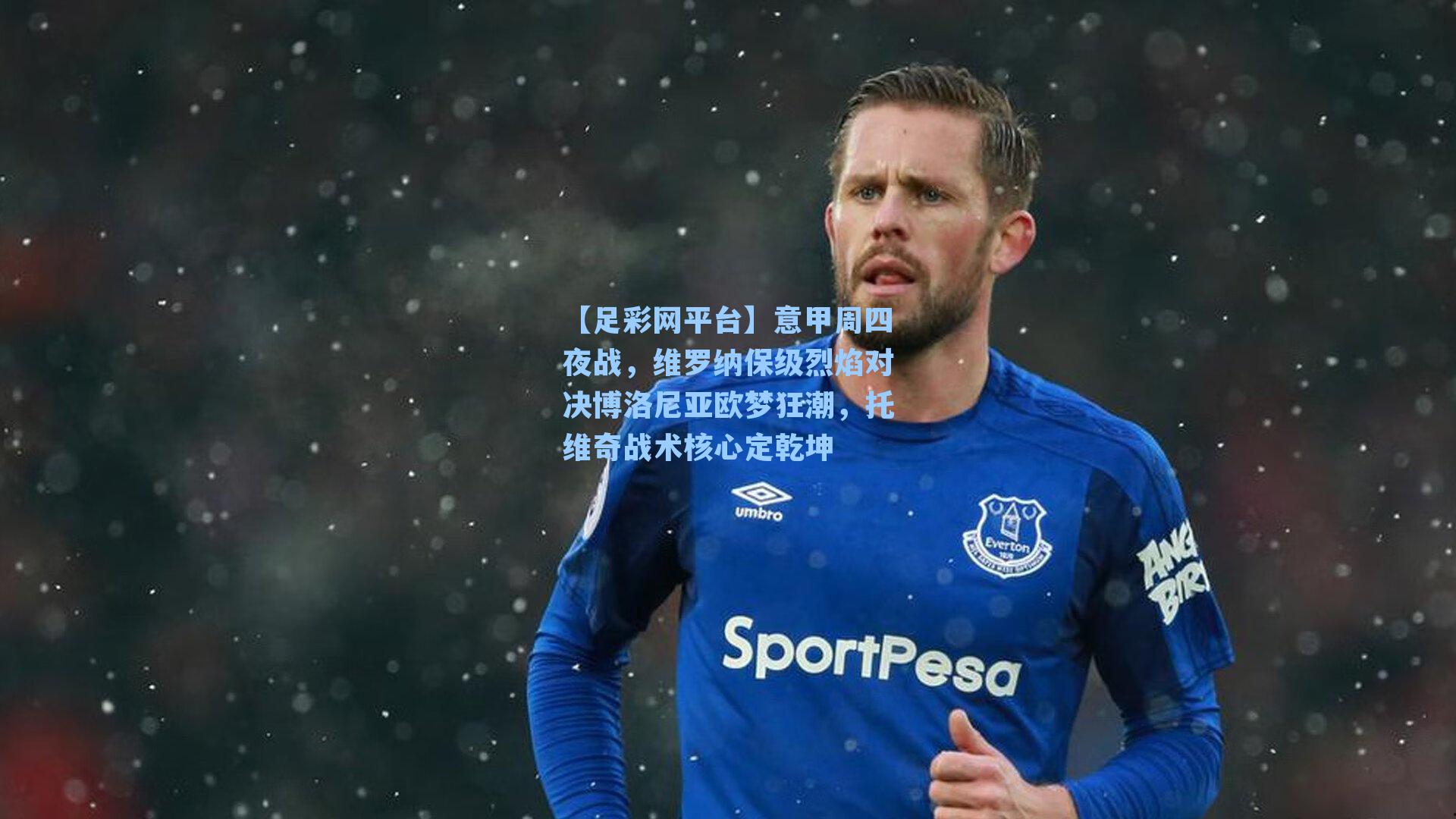 意甲周四夜战,维罗纳保级烈焰对决博洛尼亚欧梦狂潮,托维奇战术核心定乾坤