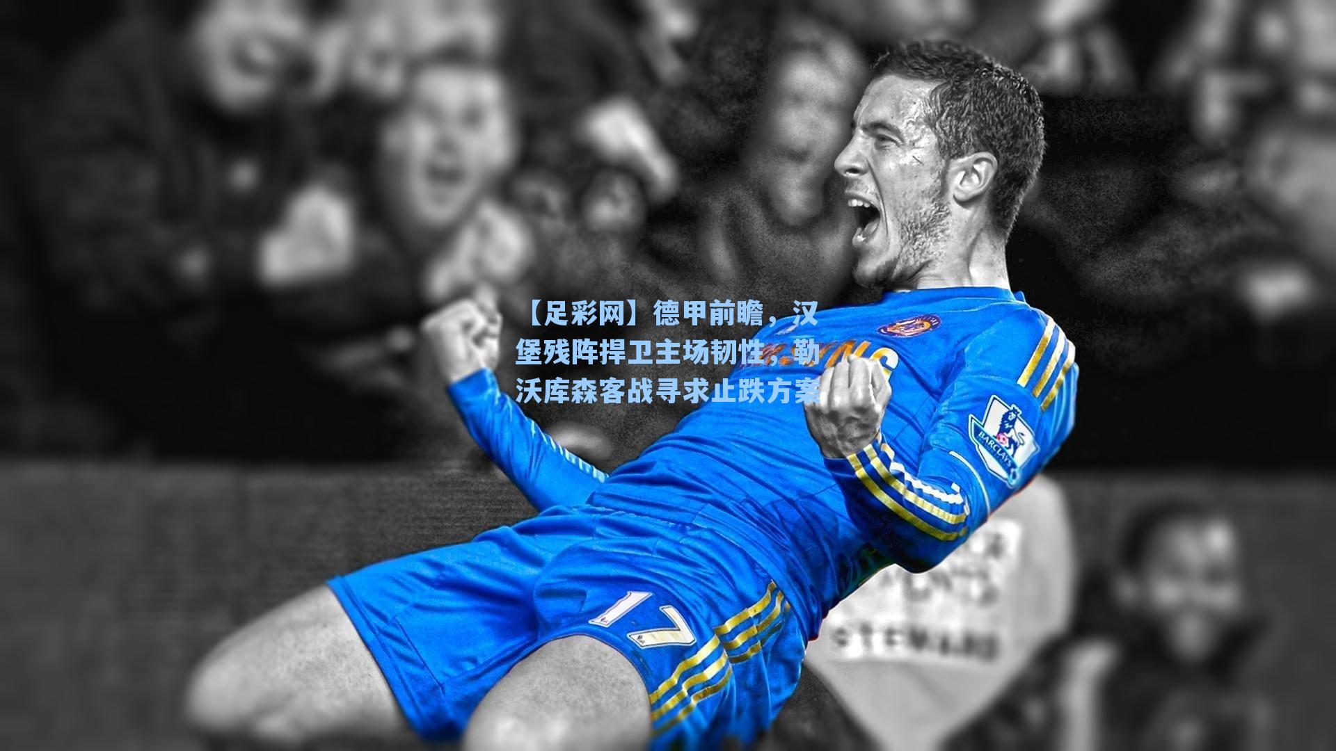 德甲前瞻，汉堡残阵捍卫主场韧性，勒沃库森客战寻求止跌方案