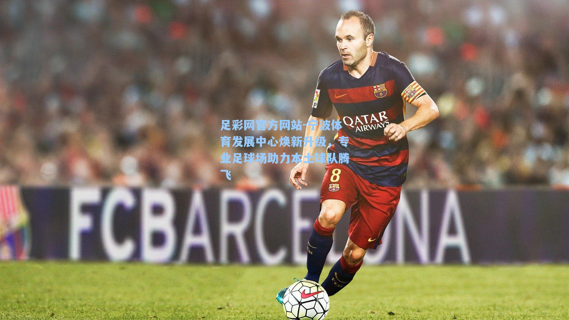 宁波体育发展中心焕新升级，专业足球场助力本土球队腾飞