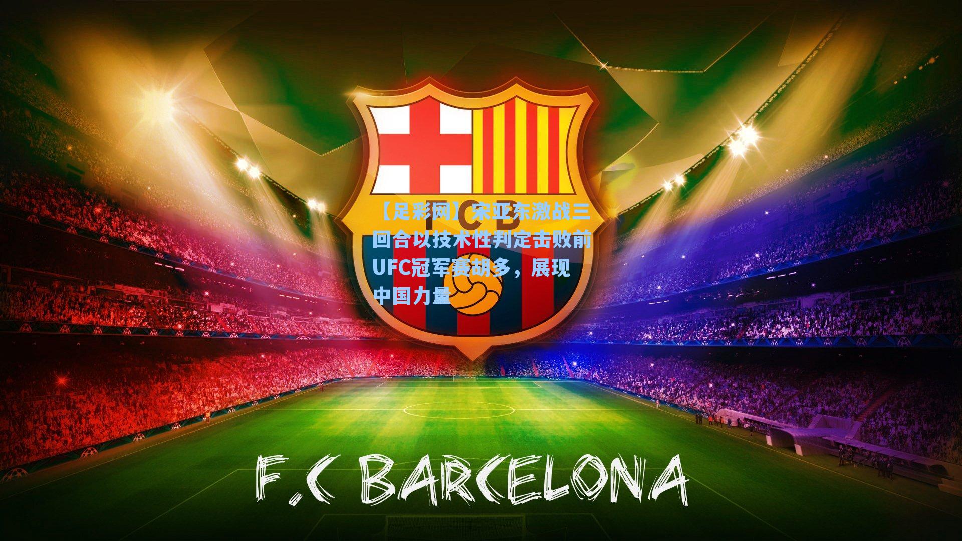 宋亚东激战三回合以技术性判定击败前UFC冠军赛胡多，展现中国力量